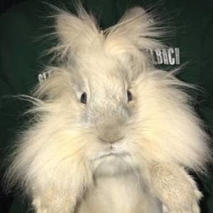 Meet your Posher, Dan